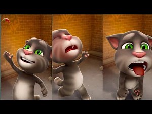 Talking Ginger 2 🌶️🍒🍎 // talking ginger cat //talking ginger funny videos /