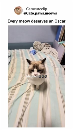 catocuteclip | Cute- voice actors 😭👀 | Instagram