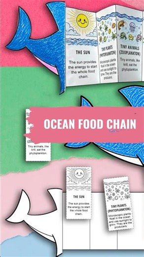 Ocean Food Chain Printable STEM Activity for Kids