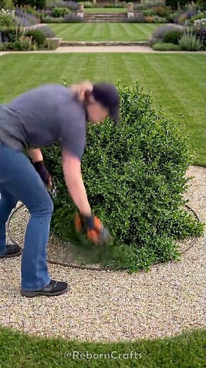 Perfect Garden Spheres: Topiary Trim Process | Garden Design ASMR