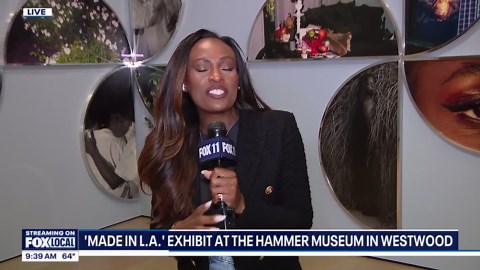 'Made in LA' exhibit at Hammer Museum