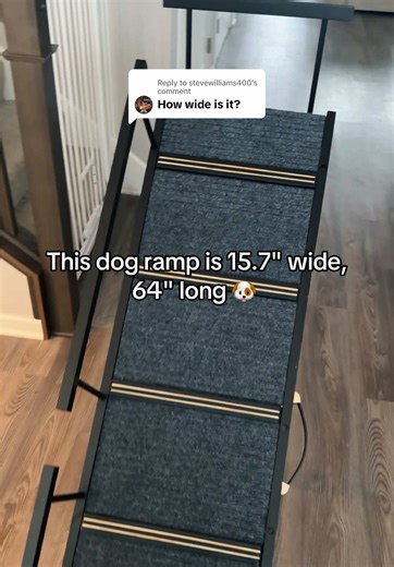 Essential Dog Ramp for Senior and Small Dogs