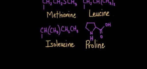 Classification of amino acids