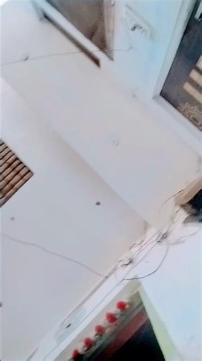 pa liya h pyar tera 💕💕✨#trending #viral #trending #shosts