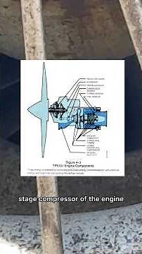 How Do Birds Get into a Garrett Engine?