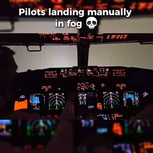 These Pilots 🤯💀 #aviation