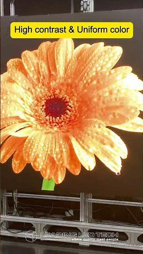 Show COB Display – See the True Color Without Moiré #cobled #leddisplay