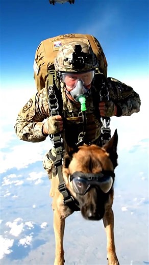 "Death Jump": K9 Special Forces Paratroopers Jump from an Altitude of 10,000 Meters! #k9master #k9