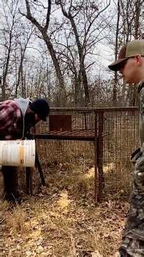 Checking and Re-Baiting Wild Hog traps on our Homestead