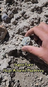 These spherical "blueberries" are a rare formation for azurite, but ones this size are CRAZY RARE 😱 | Bigfoot Crystals