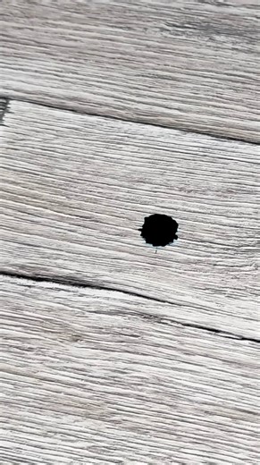 5 Genius DIY & Electrical Hacks Pros Never Show You! ⚡🛠️ 📝 Description Discover smart workshop, electrical, and home repair tricks that experienced professionals rarely share! From perfectly fitting materials in tight corners, quickly installing cable lugs, removing stubborn stains, making socket holes without special tools, to sharpening a meat grinder knife easily — these simple hacks will save you time, effort, and money. Perfect for DIY lovers, electricians, and home improvement enthusiast