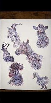 Abstract Farm Wildlife drawn with both my hands