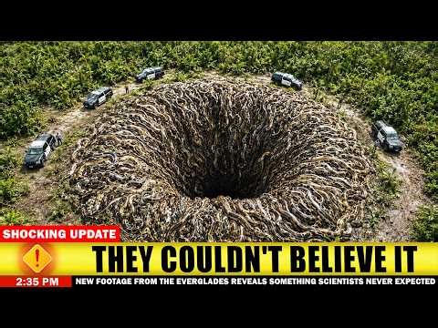The Footage From Florida's Swamps No One Was Prepared For