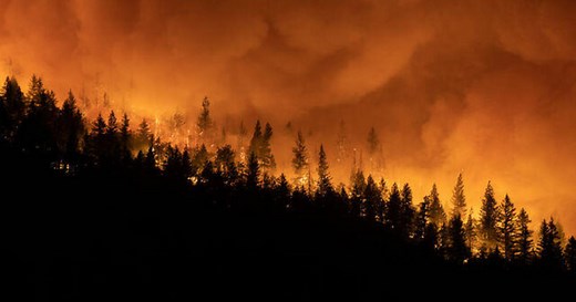 July was world's hottest month on record, NOAA reports