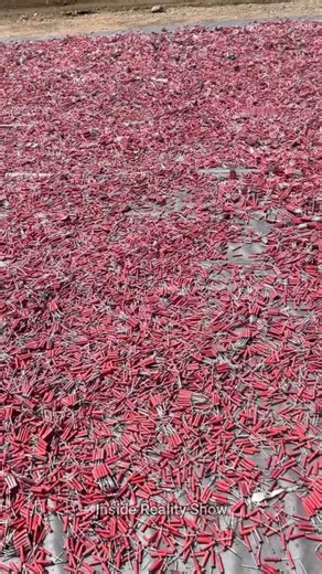 Firecracker Factory Secrets Revealed in Just Minutes #diwali #firecracker #fireworks | Inside Reality Show