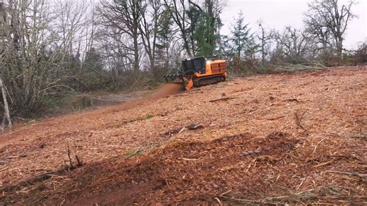 Wrapping up an incredible 2025 season with this epic highlight reel! 🌲💥 From tackling thick brush and overgrown lots to full forestry mulching transformations, we've poured sweat and skill into every job—turning chaos into clean, usable land. Massive shoutout to our hardworking crew and amazing clients who trusted us with their projects. Can't wait to crush even more in 2026! 🚜🔥 Oregonlandmaintenance.com 503.871.9486 Serving all of Oregon, and surrounding areas. #LandClearing #ForestryMulchi
