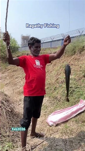 Snakehead fish 🎣 pongan fishing 🎣 #ragathyfishing #fishingreels
