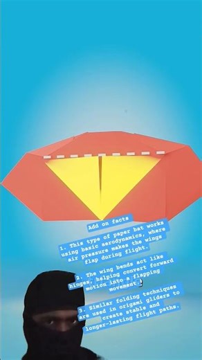 paper bat works using basic aerodynamics #zachdfilms