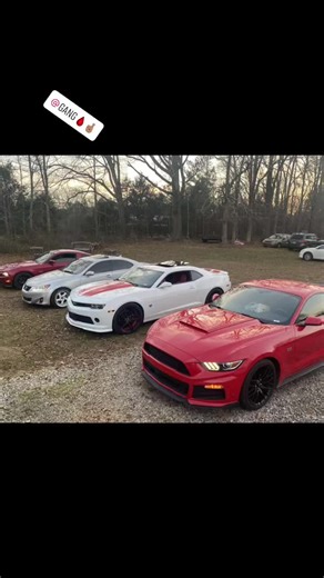 Tracy Clark (@tracy10k)’s videos with Ride on 'Em - YoungBoy Never Broke Again