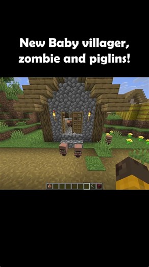 Baby Villagers Zombies and Piglins👶