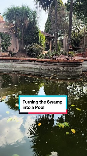 Transforming a Swamp into a Stunning Pool | Renovation Series
