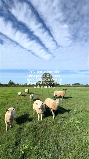 Join us this Saturday 17th for a day of slowing down, listening in, and reconnecting with your body, in the most beautiful Somerset setting ✨🌞 This Kinesiology Taster Workshop is a calm, practical introduction to Touch for Health. You’ll experience muscle response feedback, explore how stress shows up in the body, and learn simple, body-led ways to support balance and ease. No experience needed. Just curiosity and a willingness to take a pause. 🗓 Saturday 17 January ⏰ 10:30am – 3pm 📍 Swallet 