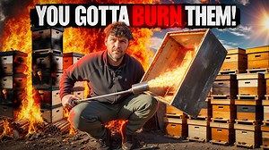You've GOTTA Burn THEM! | Black Mountain Honey
