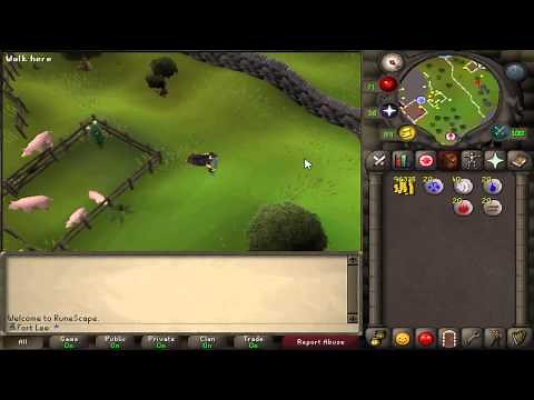 OSRS F2P 99 FISHING GUIDE