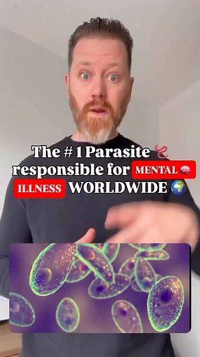 This parasite changes how your brain works and it’s shockingly common. 🤯 Toxoplasma gondii is a protozoan parasite carried by over 2 billion people worldwide, often with no symptoms. But new research shows it may not be as “harmless” as once believed: • Increases dopamine impacting mood, motivation, and behavior • Linked to schizophrenia, OCD, anxiety, depression, and suicide risk • Alters the amygdala your brain’s fear and emotion center Source Highlights: Flegr et al., Biol Psych (2016) — Tox