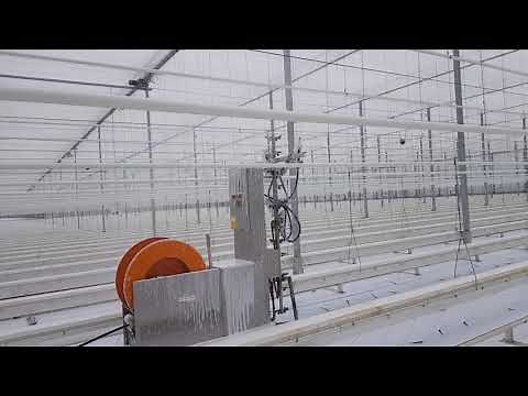 Disinfecting greenhouses - Menno Florades