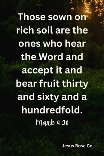 Catholic Bible Study | Mark 4:20 | Jesus Rose Co.✝️