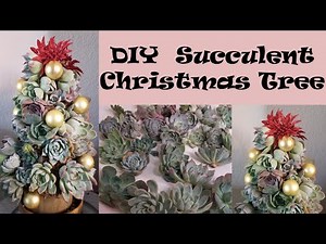 DIY Succulent Christmas Tree | Topiary Christmas Tree