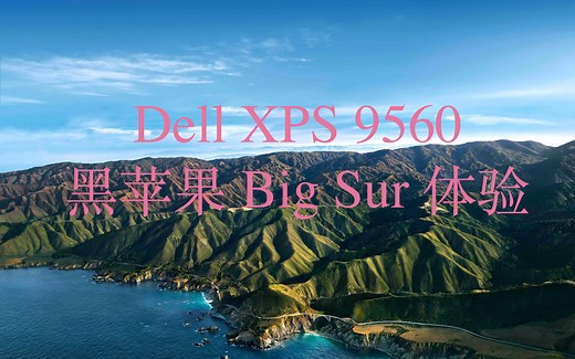 Dell XPS 9560 黑苹果系统 Big Sur 安装过程记录