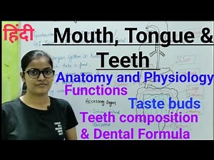 Anatomy and Physiology Of Mouth! Anatomy and Physiology of Tongue! Anatomy and Physiology of Teeth!