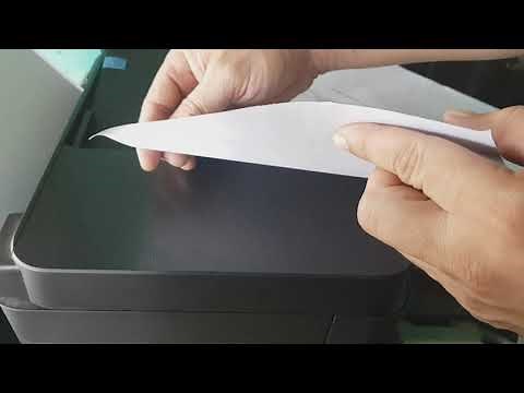 Top feeder problem solve | Epson L5190