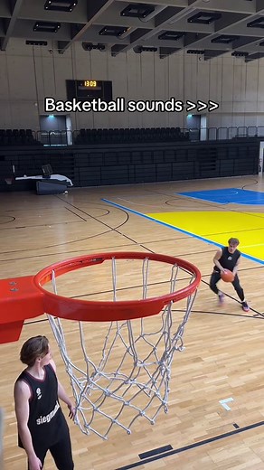 Basketball Sounds ASMR: Dribble, Squeak & Swish Net