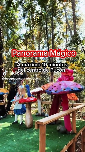 Explora el Bosque Encantado Pucón: Aventura Mágica Familiar