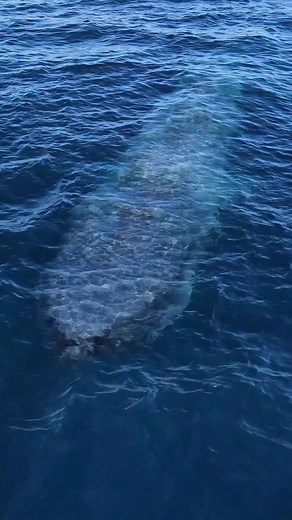 Tài khoản được đề xuất