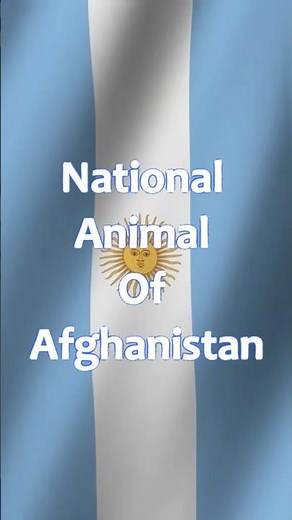 National Animal of Argentina 🐦The Ovenbird Builder #shorts #argentina #animalfacts #nationalanimals