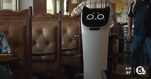 Meet Bella: Don Tequila's newest robot server