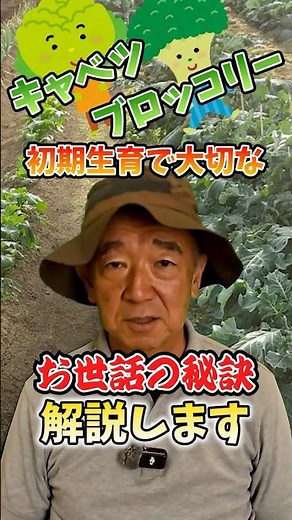 Tips for early care of cabbage and broccoli in home gardens and farms! [Direct from farmers] #shorts
