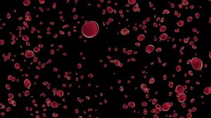 红细胞爆炸。血细胞爆炸。血细胞粒子爆炸。透明背景。Alpha通道 库存影片视频（100% 免版税）3635709907 | Shutterstock