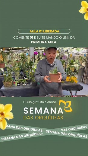 🌸 Você acabou de ver o resumo da Aula 1 da Semana das Orquídeas — um curso 100% online e totalmente gratuito! E a boa notícia é que a Aula 1 já está liberada! 🎉 Quer assistir ela completa e aprender como deixar suas orquídeas lindas, saudáveis e cheias de flores? 👉 Escreva “01” aqui nos comentários que eu te envio o link direto da aula! 🌿 #masujikayasima #orquideas #plantas #cursodeorquideas #flores #paraisodasmicroorquideas #orchid #mogidascruzes #orquídeasfloridas #semanadasorquideas | Mas