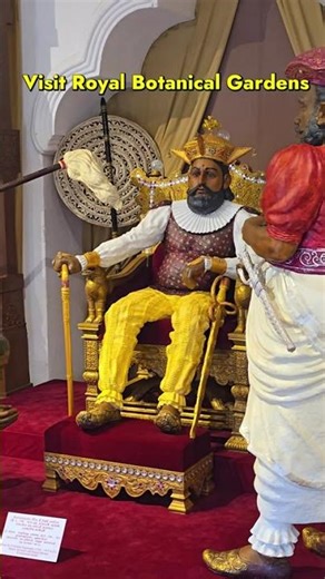 Top Things To Do in Kandy in 60 Seconds