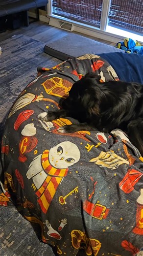 Cozy Harry Potter Inspired Blanket for Fans