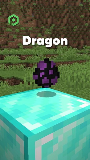 What do you think of 1.19.3's changes? #pebblehost #minecraft #minecrafttutorial #minecraftbuilding #minecraftupdate #enderdragon #wither #server