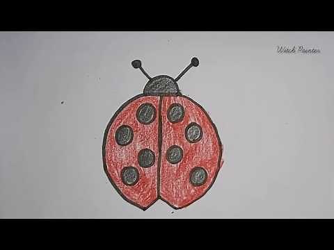How To Draw A Ladybird | Ladybird Drawing | Step by Step drawing for kids