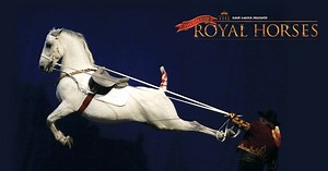 6M views · 838 reactions | Gala of The Royal Horses are coming to The...