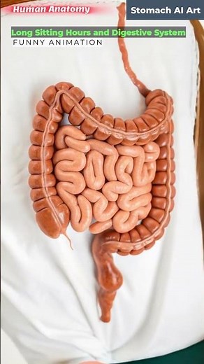 Animation of Intestines Vs. Long Sitting Hours | Stomach AI Art | 01