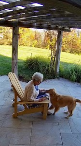 Loyal Dogs Saves Owner's Life! #dogs #rescue #loyal | Paul Vu